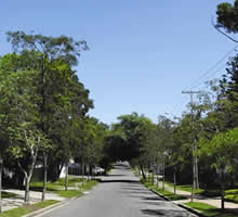 desentupidora no jardim social