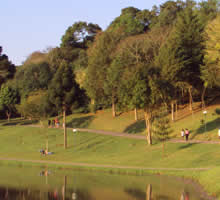 desentupidora no sao Lourenço