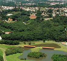 desentupidora no tingui